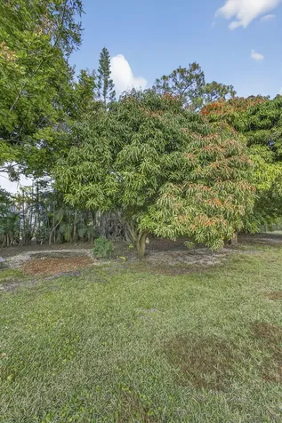 16107 86th Street Loxahatchee FL 33470