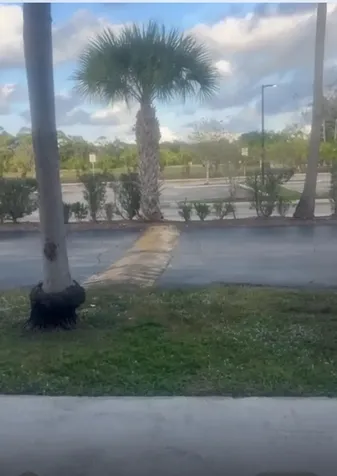 139 Sparrow Drive Royal Palm Beach FL 33411