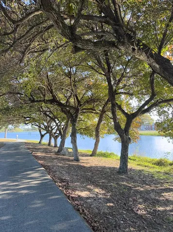 2381 Sunset Avenue Lake Worth Beach FL 33461