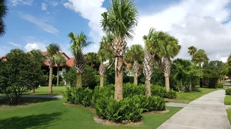 16600 S Traders Crossing Jupiter FL 33477