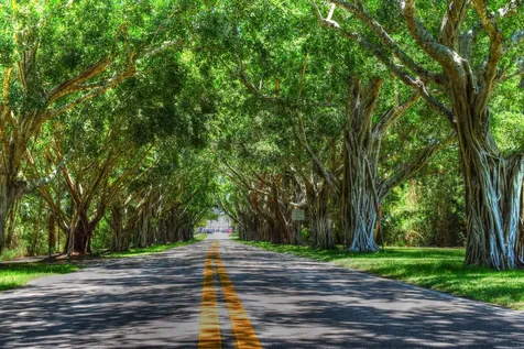 36 Se Saddleback Road Jupiter FL 33469