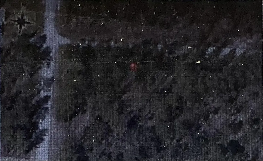 One Undetermine Dunnellon FL 34432