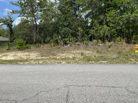 6876 N Sandborn Loop Citrus Springs FL 34433