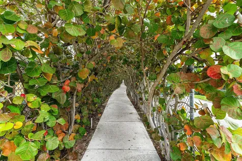 100 Bravado Lane Palm Beach Shores FL 33404