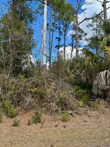 Xxx Eldron Avenue North Port FL 34286