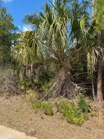 Xxx Eldron Avenue North Port FL 34286