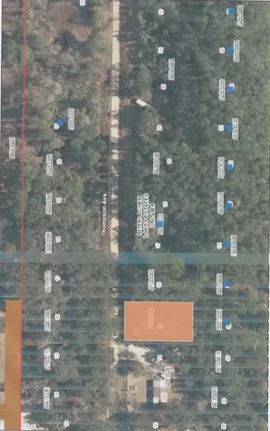 221 Thompson Avenue Interlachen FL 32148