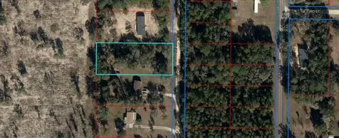 00 NE 100th Court Bronson FL 32621