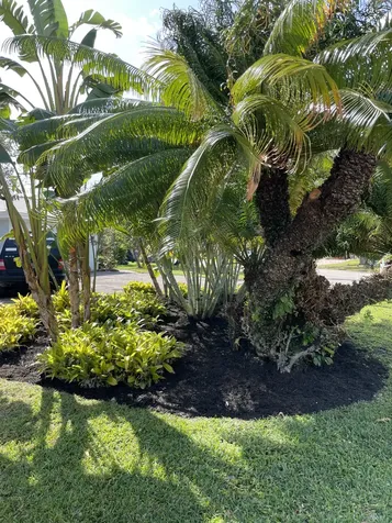 299 Nw 10th Court Boca Raton FL 33486