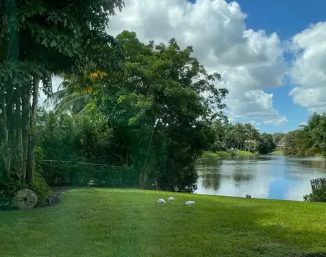 299 Nw 10th Court Boca Raton FL 33486