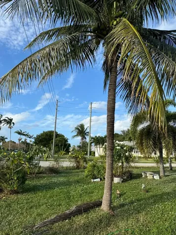 701 Sw 8th Avenue Delray Beach FL 33444