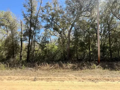 Tbd Walker Drive Interlachen FL 32148