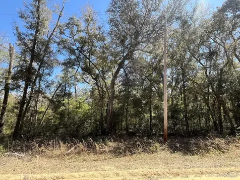 Tbd Walker Drive Interlachen FL 32148