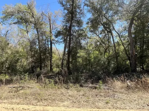 Tbd Walker Drive Interlachen FL 32148