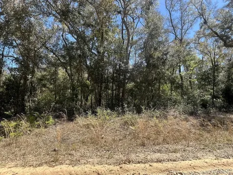 Tbd Walker Drive Interlachen FL 32148