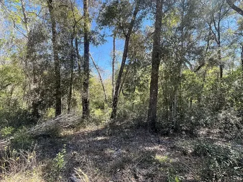 Tbd Walker Drive Interlachen FL 32148