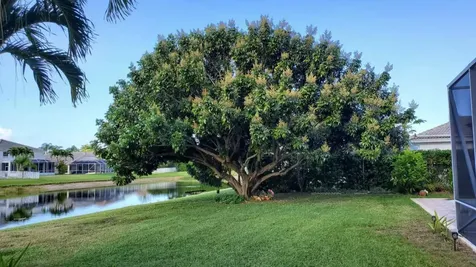11174 Winding Pearl Way Wellington FL 33414