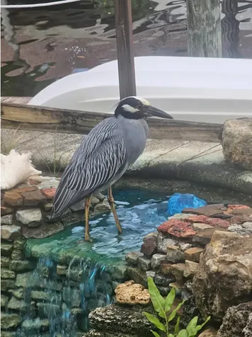 66 Sw Cabana Point Circle Stuart FL 34994