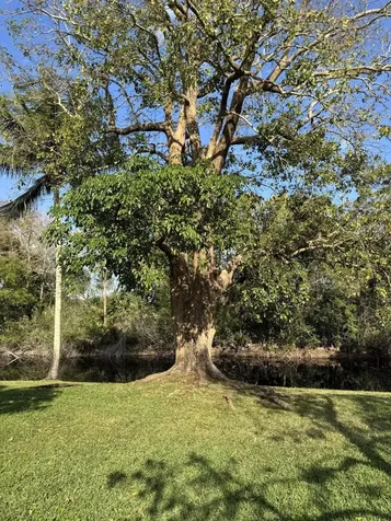 21068 Shady Vista Lane Boca Raton FL 33428