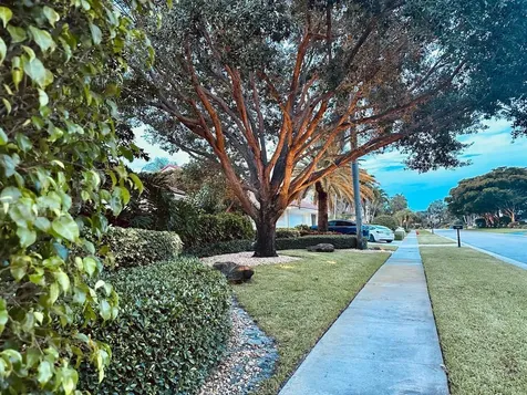 7351 Valencia Drive Boca Raton FL 33433