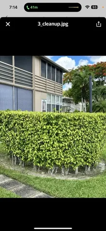 309 Windsor West Palm Beach FL 33417