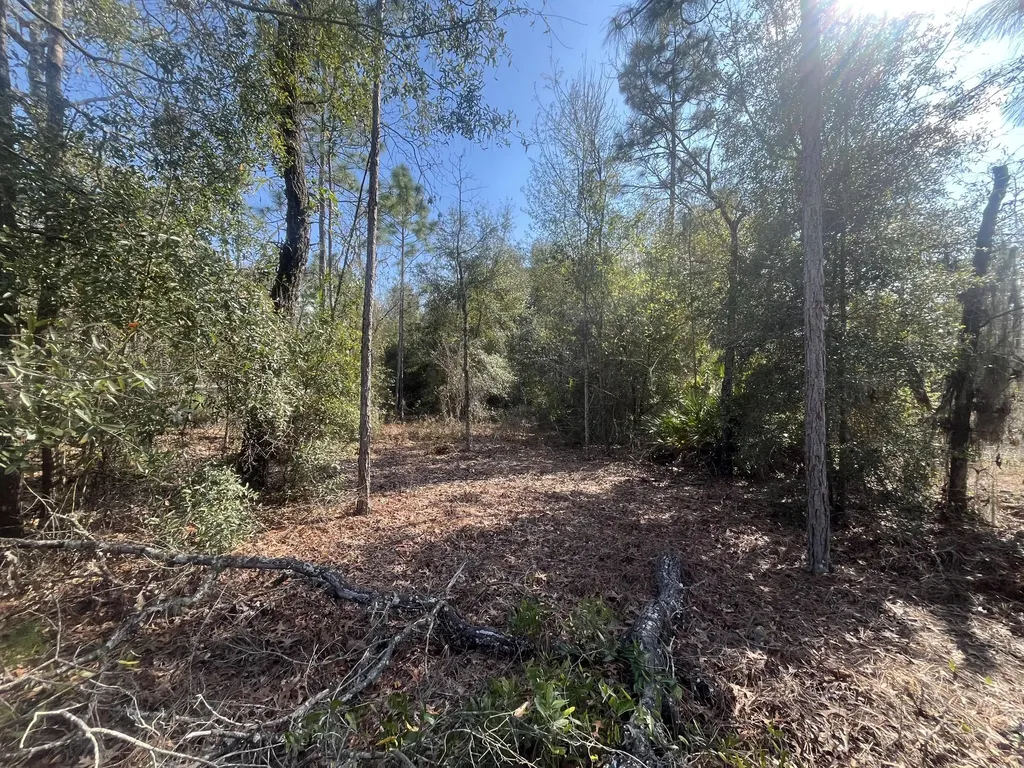 6291 Drake Avenue Keystone Heights FL 32656