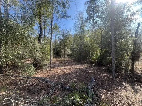 6291 Drake Avenue Keystone Heights FL 32656