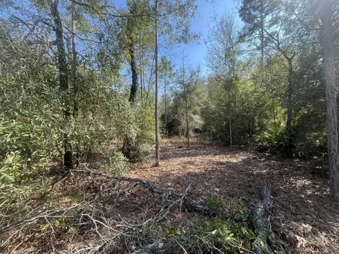 6291 Drake Avenue Keystone Heights FL 32656