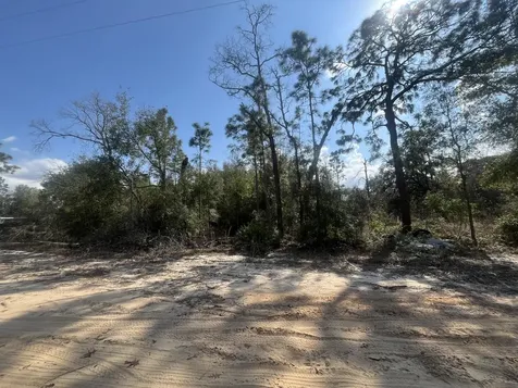 6291 Drake Avenue Keystone Heights FL 32656