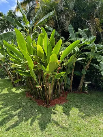 21080 Shady Vista Lane Boca Raton FL 33428