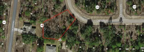 2352 W Conway Drive Citrus Springs FL 34434