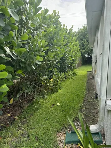 8051 SE Homestead Avenue Hobe Sound FL 33455