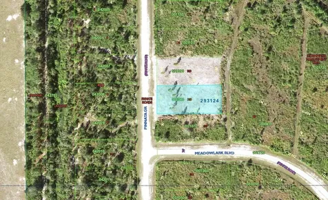 0 Pinnata Drive Lake Wales FL 33898