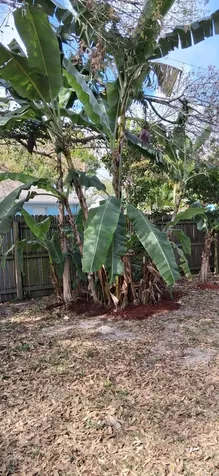 1511 20th Avenue Vero Beach FL 32962