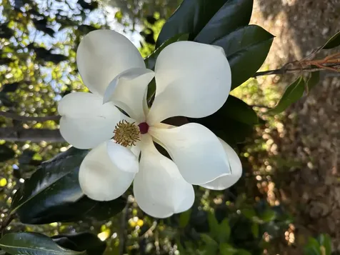 1104 Sw 11th Street Okeechobee FL 34974