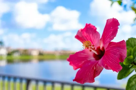 17929 Villa Club Way Boca Raton FL 33496