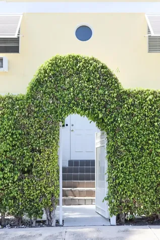 172 N County Road Palm Beach FL 33480