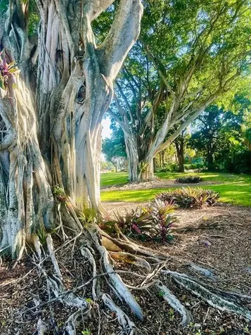 10238 Crosswind Road Boca Raton FL 33498