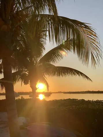2404 Harbour Cove Drive Hutchinson Island FL 34949