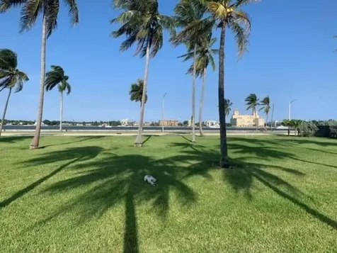 1551 N Flagler Drive West Palm Beach FL 33401