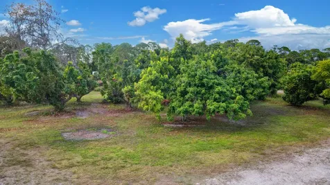 3446 Cabbage Palm Way Loxahatchee FL 33470