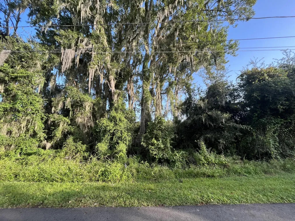 262 Toms Road Debary FL 32713