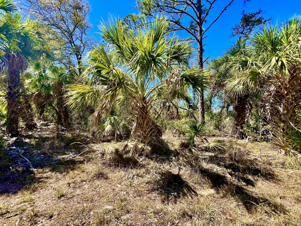 441 Juper Street Port Charlotte FL 33953