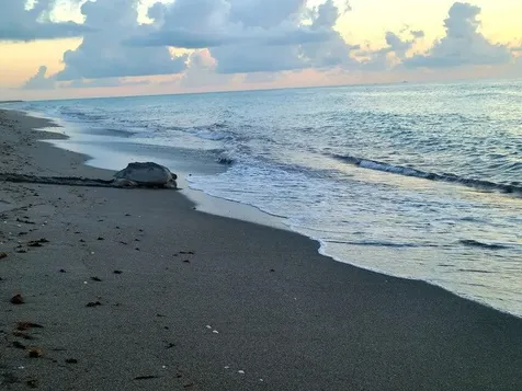 0000 SE Federal Highway Jupiter FL 33469