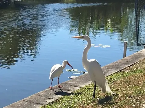 1163 20th Street Okeechobee FL 34974