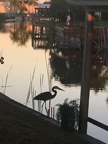 1163 20th Street Okeechobee FL 34974