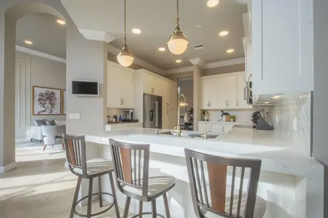 11041 Brandywine Lake Way Boynton Beach FL 33473