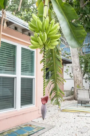204 Coral Road Boynton Beach FL 33435