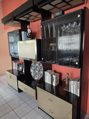 8166 Springtree Road Boca Raton FL 33496