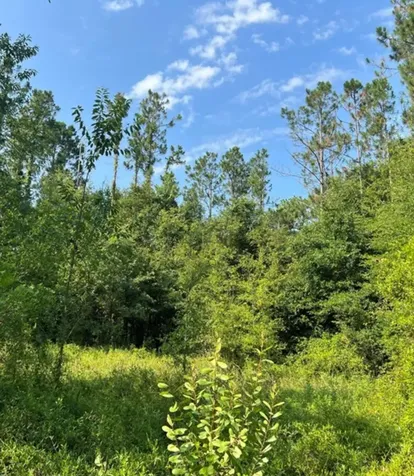 102 SW Green Acres Way Lake City FL 32024